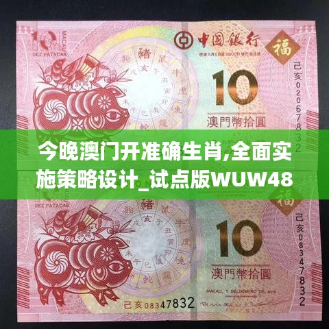 今晚澳门开准确生肖,全面实施策略设计_试点版WUW48.432