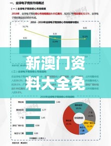 新澳门资料大全免费安装,数据整合解析计划_竞技版DJB13.304