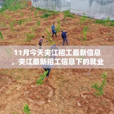 夹江最新招工信息揭秘，就业趋势与个人选择分析