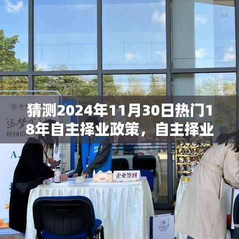 回顾与预测，自主择业政策十八载热门趋势至2024年11月30日分析