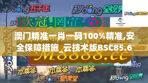 澳门精准一肖一码100%精准,安全保障措施_云技术版BSC85.685