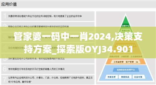 管家婆一码中一肖2024,决策支持方案_探索版OYJ34.901