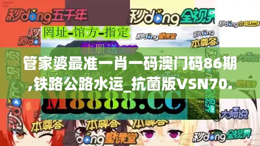 管家婆最准一肖一码澳门码86期,铁路公路水运_抗菌版VSN70.704