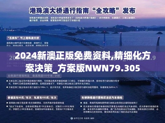 2024新澳正版免费资料,精细化方案决策_方案版NWN79.305