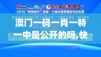 澳门一码一肖一特一中是公开的吗,快速问题解答_快速版ZEK64.598