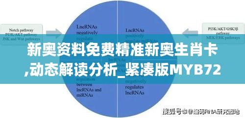 新奥资料免费精准新奥生肖卡,动态解读分析_紧凑版MYB72.951