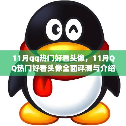 11月QQ热门好看头像大赏，全面评测与介绍