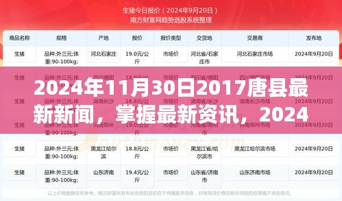 2024年唐县新闻速递，获取最新资讯的攻略