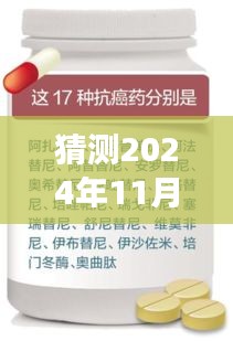 国务院政策动向展望，2024年11月30日最新政策猜想与个人立场分析