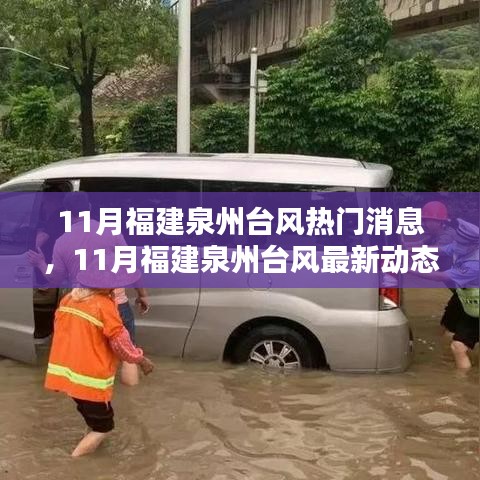 福建泉州台风最新动态，城市反应与应对策略