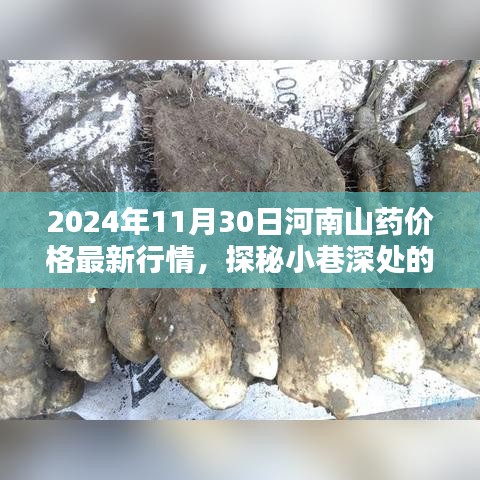 河南山药最新行情揭秘，小巷深处的情缘与价格动向（2024年11月）