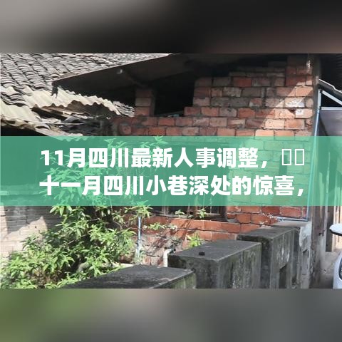 四川人事调整背后的独特小店故事，十一月四川小巷深处的惊喜