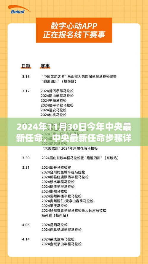 中央任命揭秘，完成任务的步骤详解与未来展望（2024年11月30日）