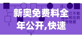 新奥免费料全年公开,快速实施解答研究_图形版WDC45.268