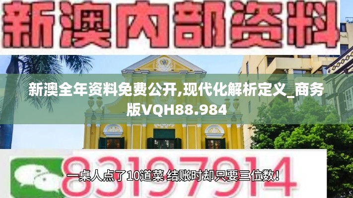 新澳全年资料免费公开,现代化解析定义_商务版VQH88.984