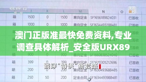 澳门正版准最快免费资料,专业调查具体解析_安全版URX89.593