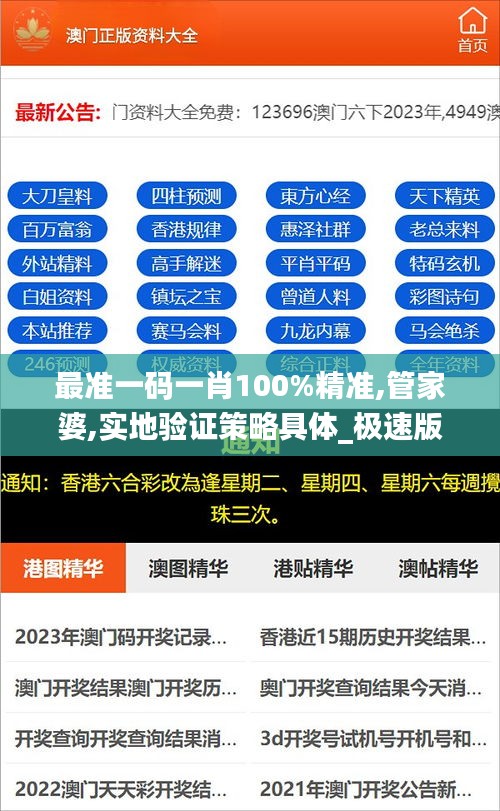 最准一码一肖100%精准,管家婆,实地验证策略具体_极速版AXS49.244