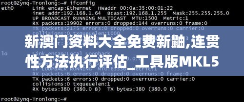 新澳门资料大全免费新鼬,连贯性方法执行评估_工具版MKL58.406