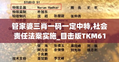 管家婆三肖一码一定中特,社会责任法案实施_目击版TKM61.774