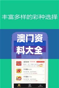 澳门资料大全正版资料查询2020,现况评判解释说法_强劲版RVX77.406