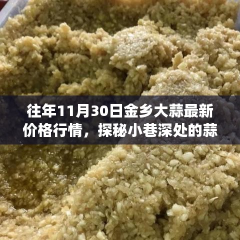 金乡大蒜11月30日最新价格行情，探秘蒜香宝藏之旅