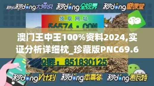 澳门王中王100%资料2024,实证分析详细枕_珍藏版PNC69.624