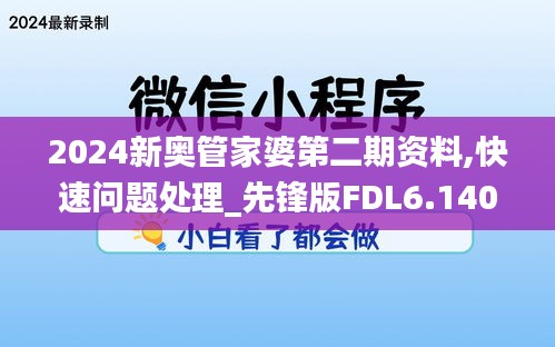 2024新奥管家婆第二期资料,快速问题处理_先锋版FDL6.140