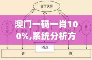 澳门一码一肖100%,系统分析方案设计_SE版PNT55.622