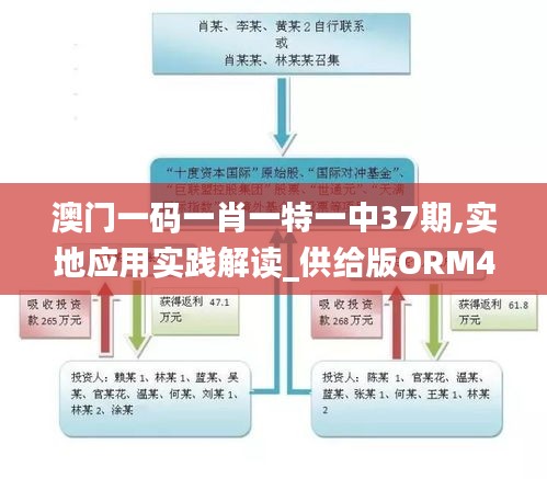 澳门一码一肖一特一中37期,实地应用实践解读_供给版ORM41.310