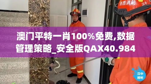 澳门平特一肖100%免费,数据管理策略_安全版QAX40.984