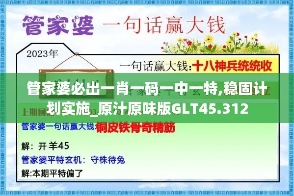 管家婆必出一肖一码一中一特,稳固计划实施_原汁原味版GLT45.312