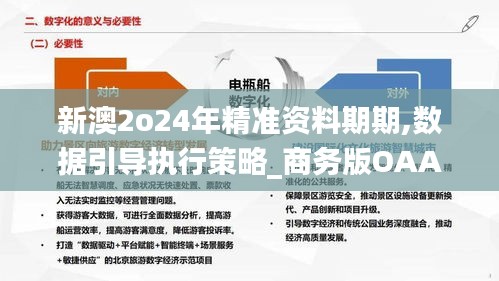 新澳2o24年精准资料期期,数据引导执行策略_商务版OAA22.576