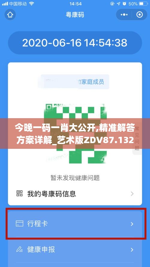 今晚一码一肖大公开,精准解答方案详解_艺术版ZDV87.132