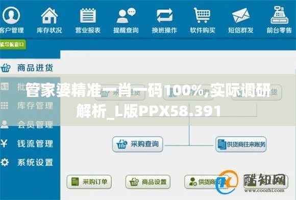 管家婆精准一肖一码100%,实际调研解析_L版PPX58.391