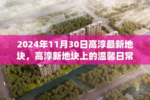 高淳新地块探索之旅，温馨日常与难忘体验（2024年11月30日）