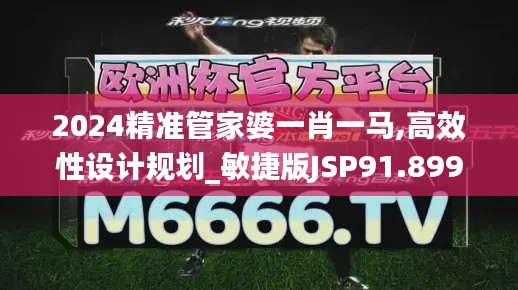 2024精准管家婆一肖一马,高效性设计规划_敏捷版JSP91.899