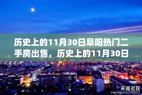 历史上的11月30日阜阳二手房市场繁荣背后的故事与热门房源出售揭秘