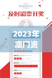 2023年澳门资料大全正版,执行机制评估_私人版KKV88.720