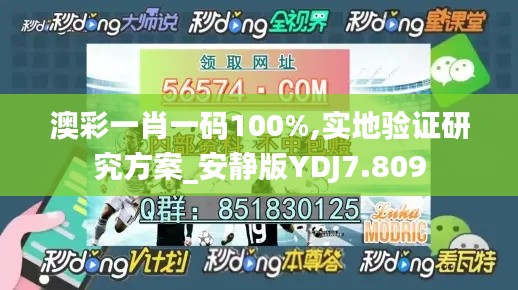 澳彩一肖一码100%,实地验证研究方案_安静版YDJ7.809