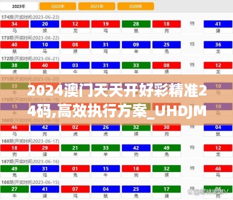 2024澳门天天开好彩精准24码,高效执行方案_UHDJMV25.539