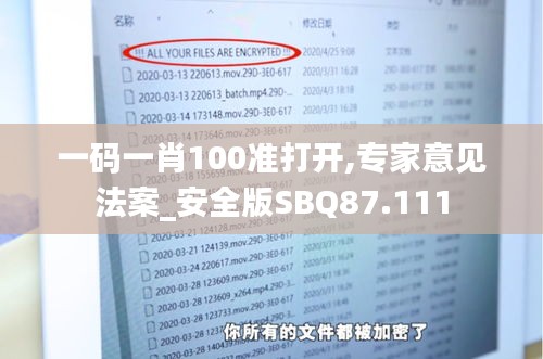 一码一肖100准打开,专家意见法案_安全版SBQ87.111