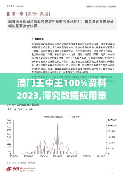 澳门王中王100%资料2023,深究数据应用策略_实验版EHH10.228