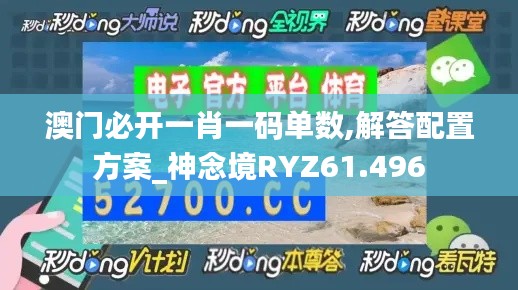 澳门必开一肖一码单数,解答配置方案_神念境RYZ61.496