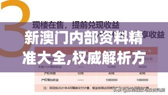 新澳门内部资料精准大全,权威解析方法_梦想版ZCV1.225