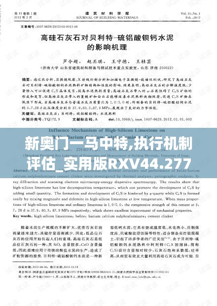 新奥门一马中特,执行机制评估_实用版RXV44.277