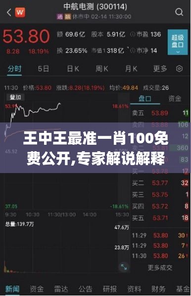 王中王最准一肖100免费公开,专家解说解释定义_安静版EWV71.451