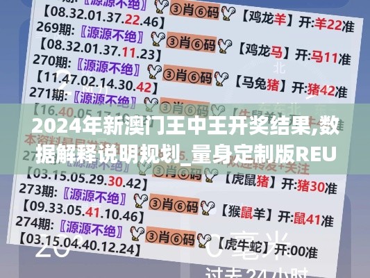 2024年新澳门王中王开奖结果,数据解释说明规划_量身定制版REU60.884