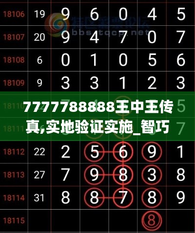 7777788888王中王传真,实地验证实施_智巧版WYQ54.938