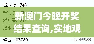 新澳门今晚开奖结果查询,实地观察数据设计_梦幻版MDY88.849