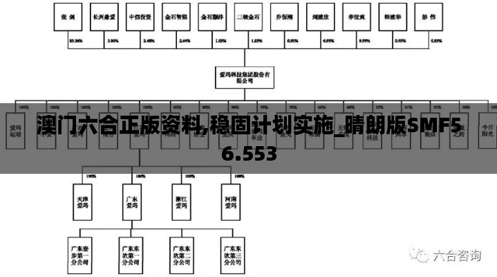 澳门六合正版资料,稳固计划实施_晴朗版SMF56.553